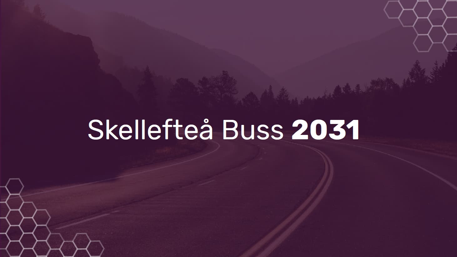 Skellefteå Buss Visionsarbete